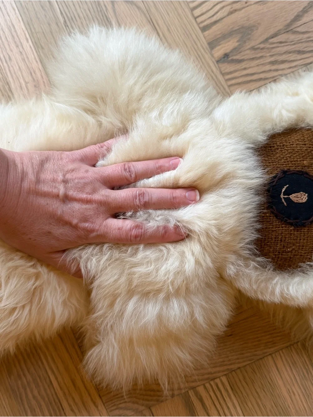 Vintage 1970s Llama Fur Cream Teddy Bear - Kids Accessories